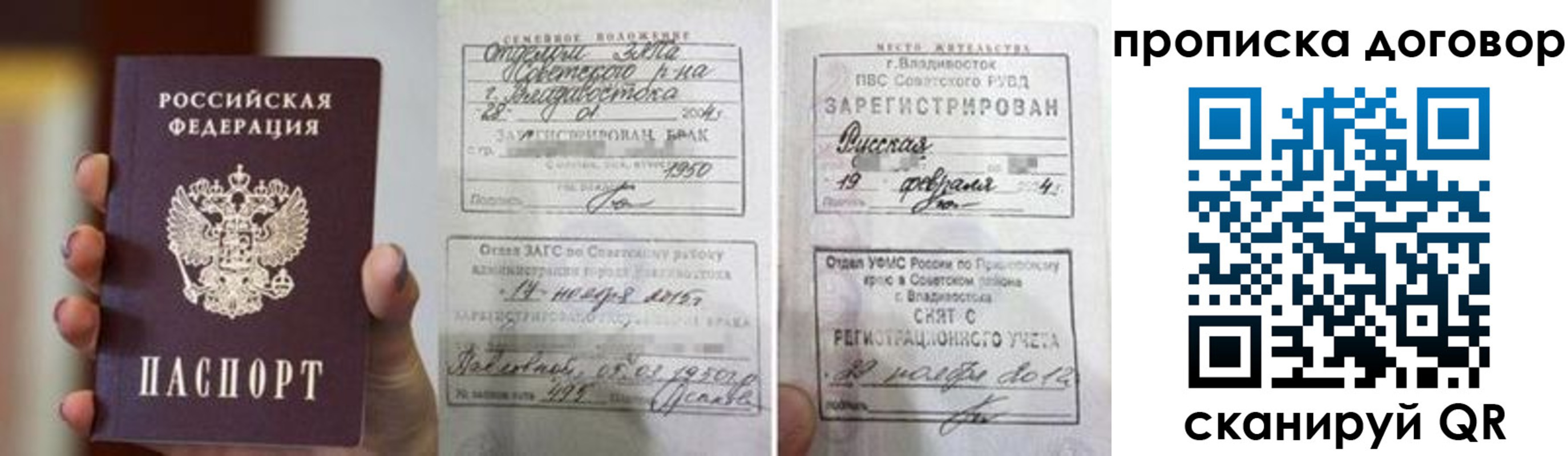 прописка штамп в Пионерском