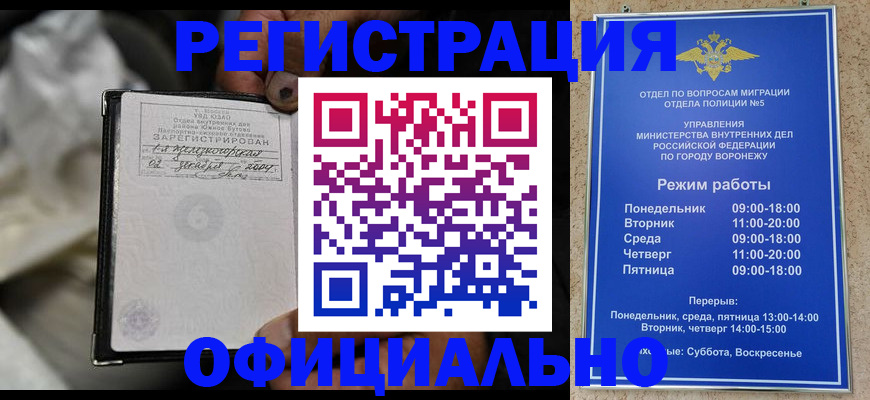 где прописаться в Пионерском