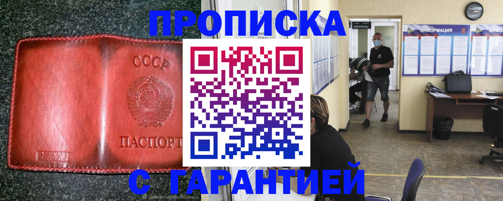 прописка гарантия в Пионерском